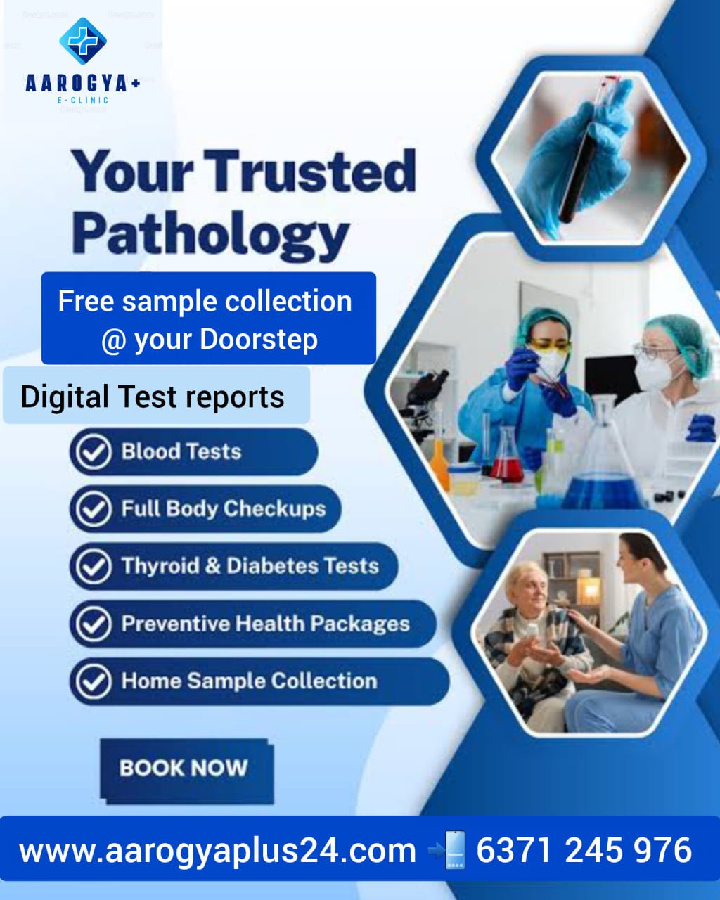 Liver Function Test (LFT)
